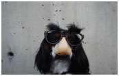Five Reasons to Work at a Telecom Integrator - Fun